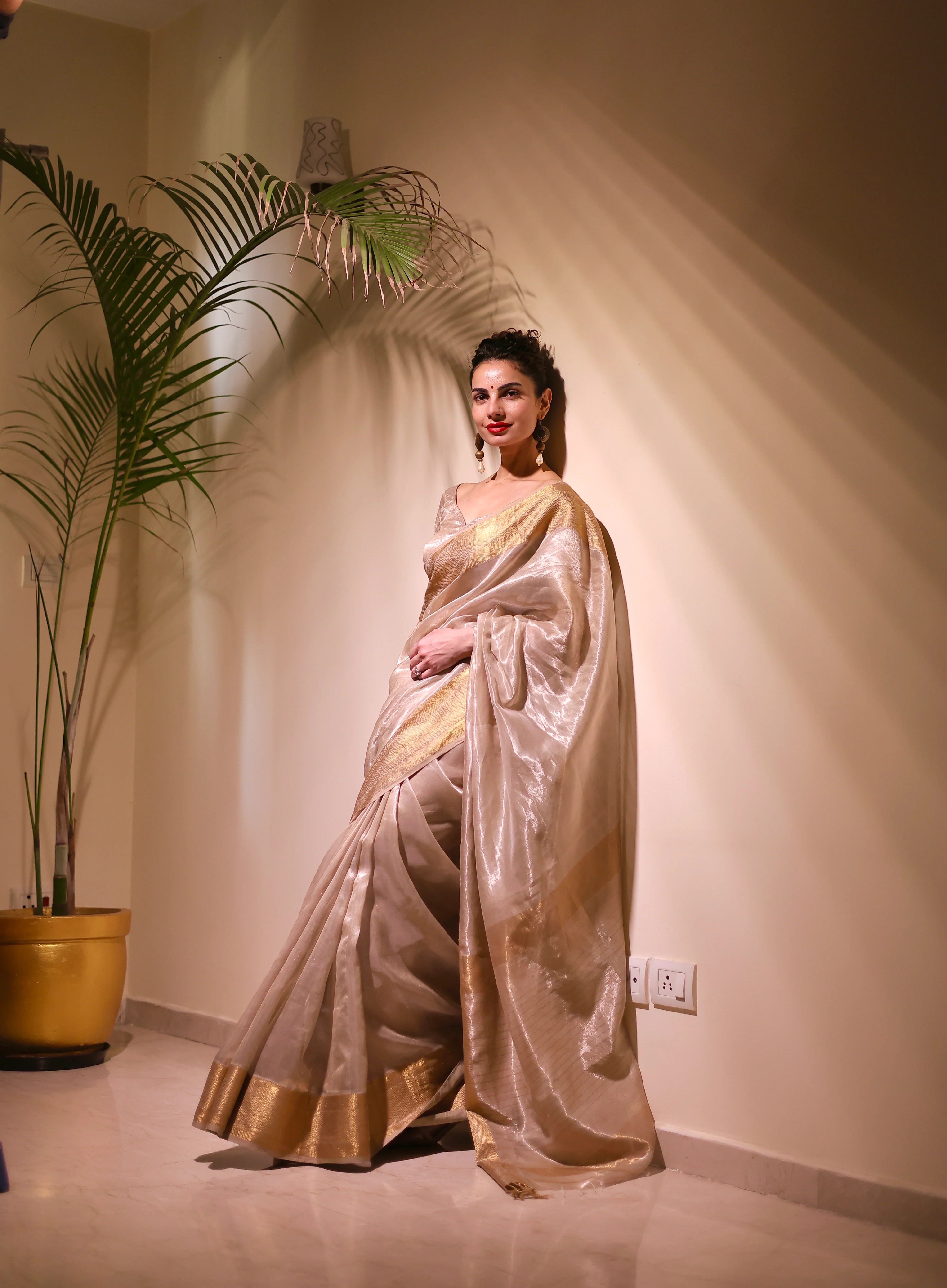 Champagne maheshwari tissue silk saree - Image 10