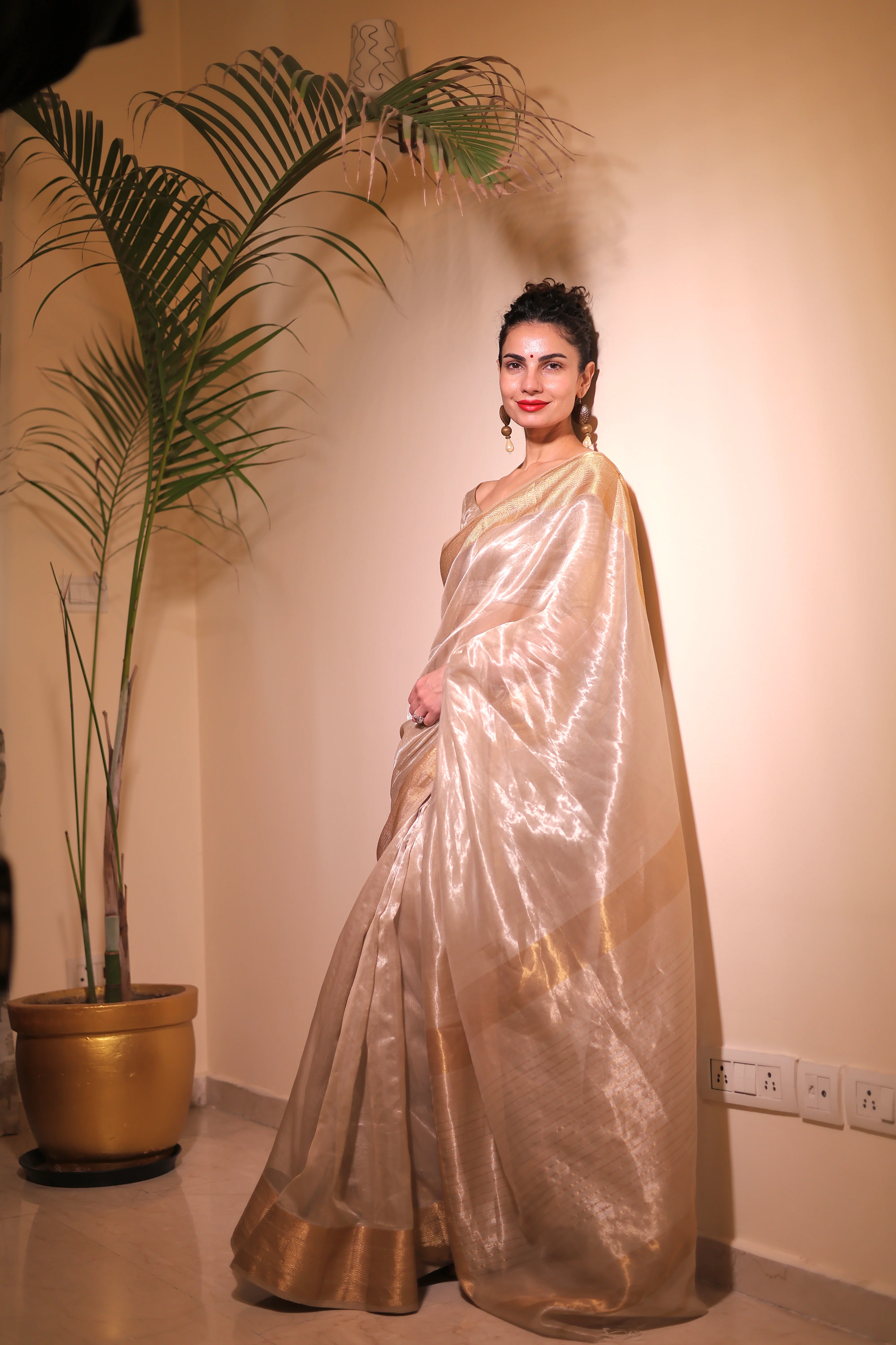 Champagne maheshwari tissue silk saree - Image 3