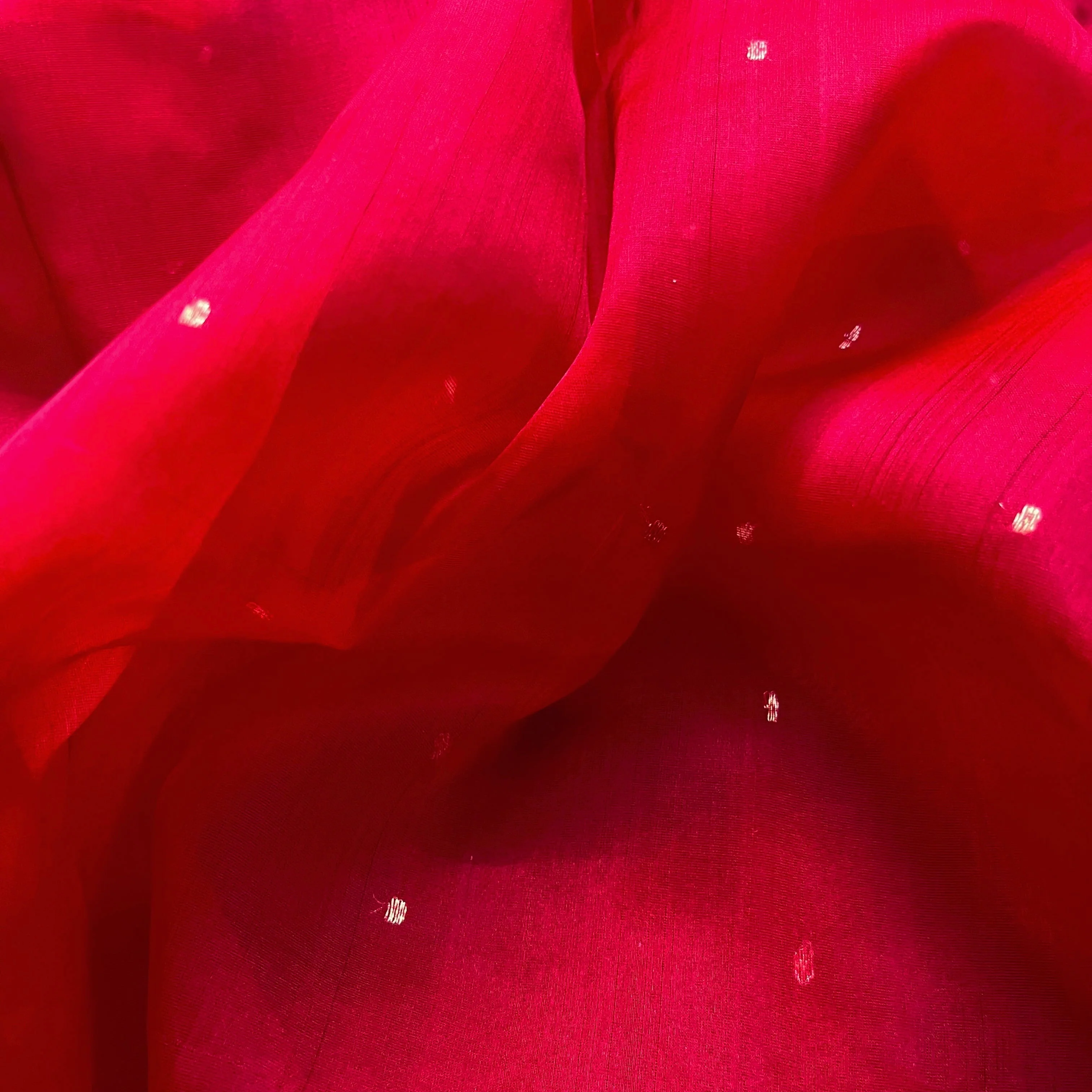 Deep red chanderi organza silk saree with zari bootis all over - Image 7