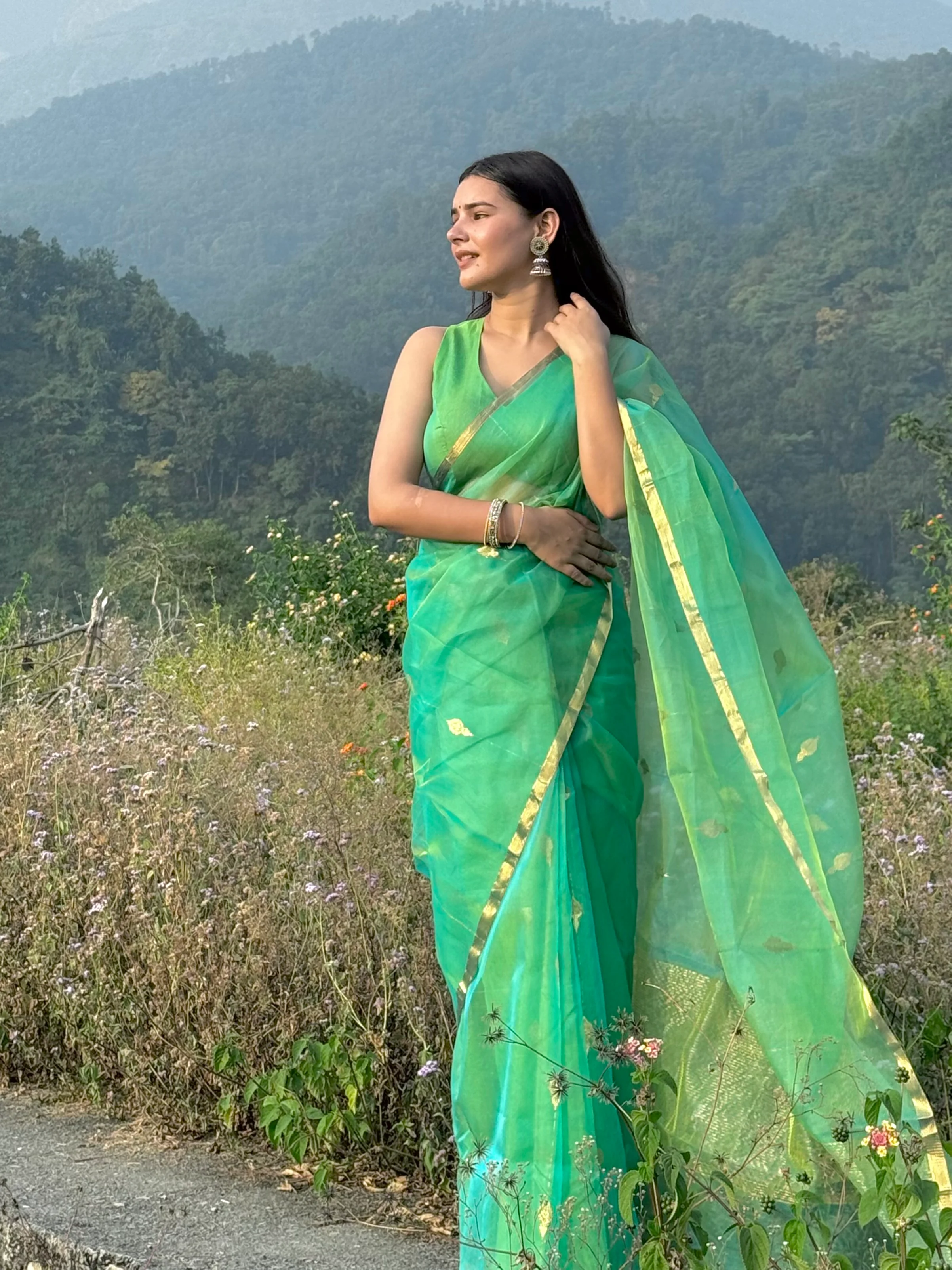 Green and gold dual tone chanderi organza silk saree with jhumka motifs all over - Image 3