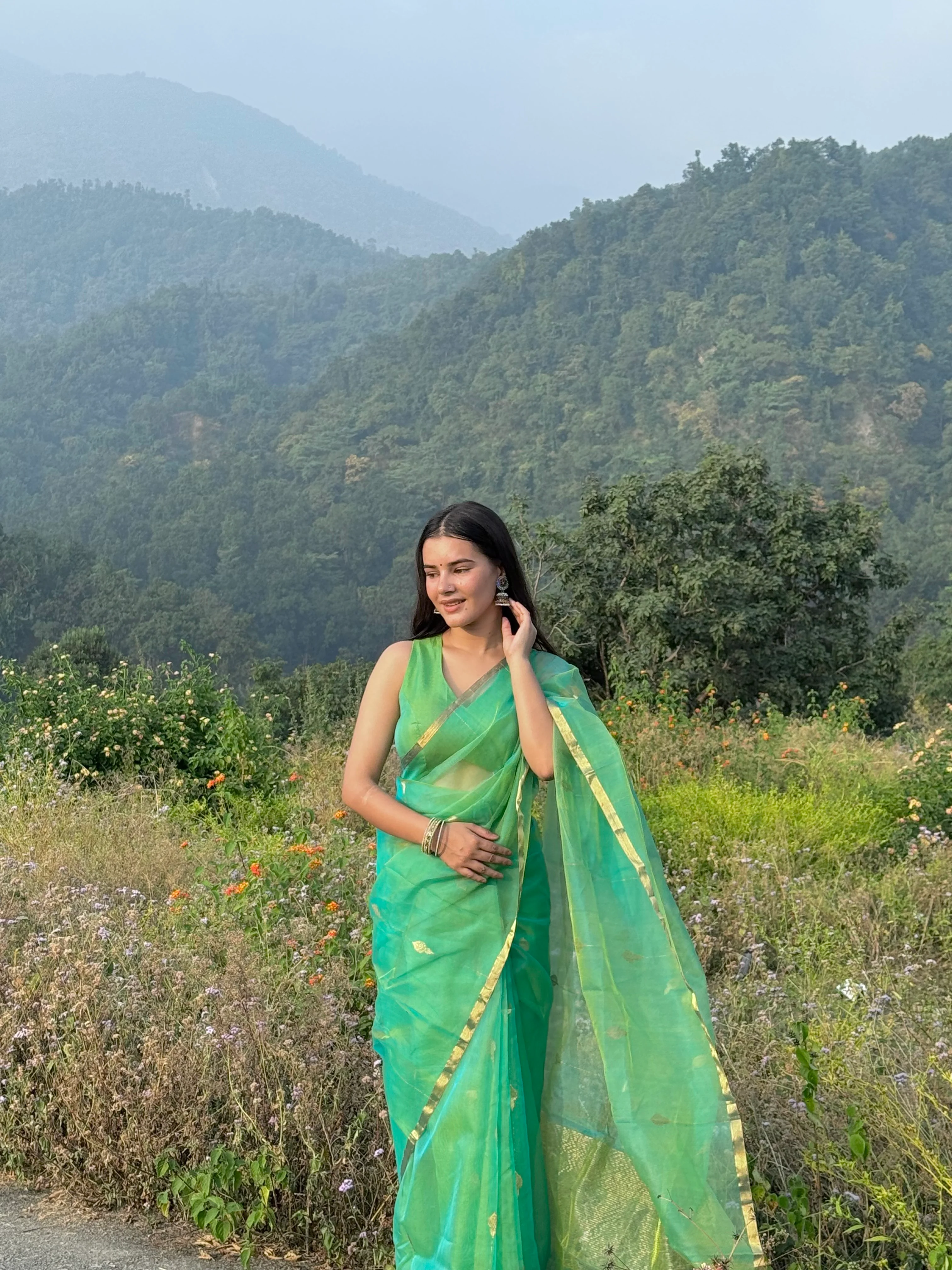 Green and gold dual tone chanderi organza silk saree with jhumka motifs all over - Image 9