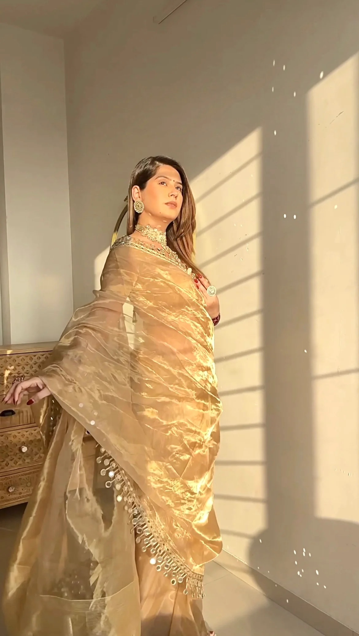 Molten gold chanderi tissue silk saree with dangling mirror work border - Image 24