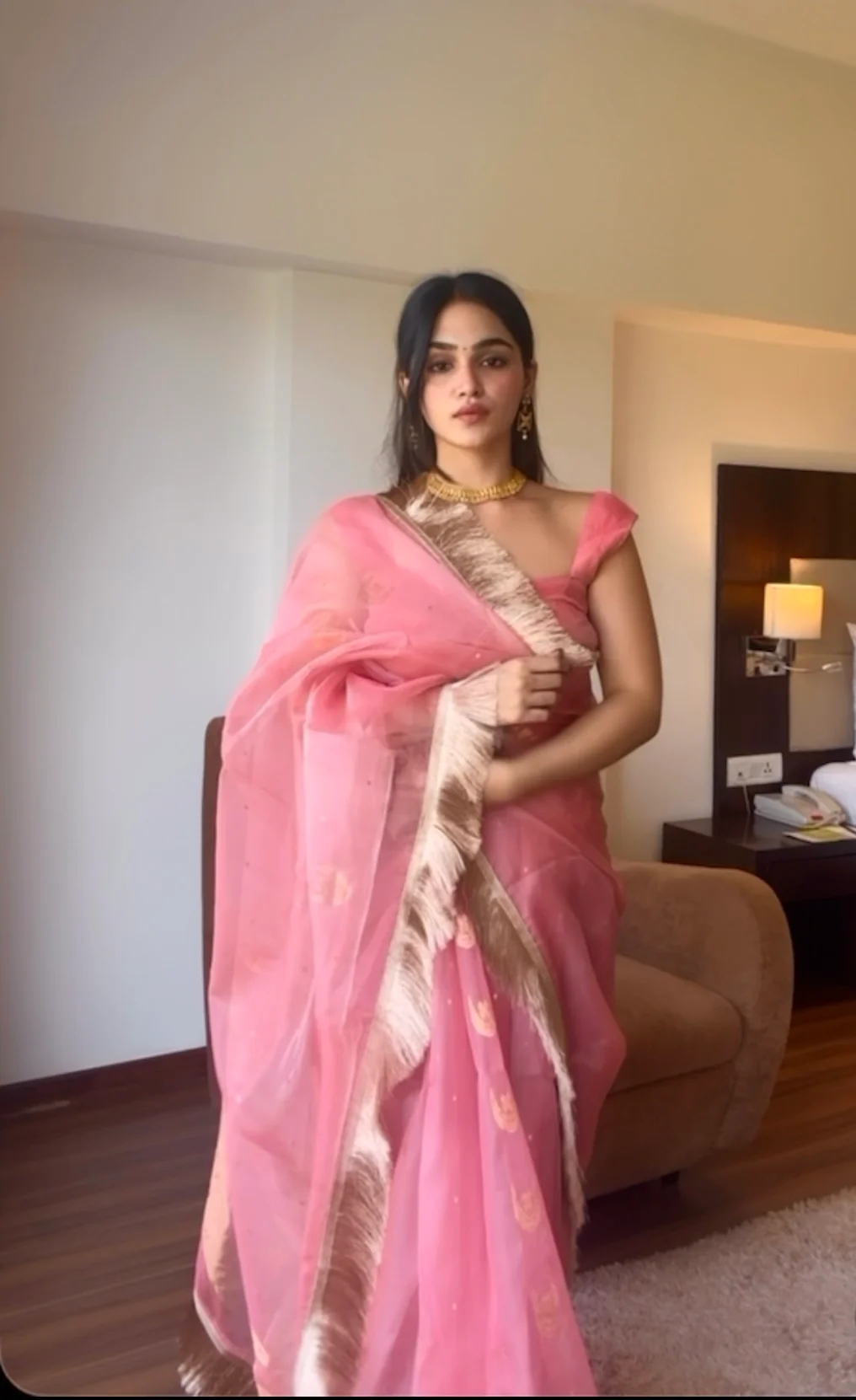 Ballet Pink chanderi silk saree with zari bootis and chaand bootis all over - Image 13