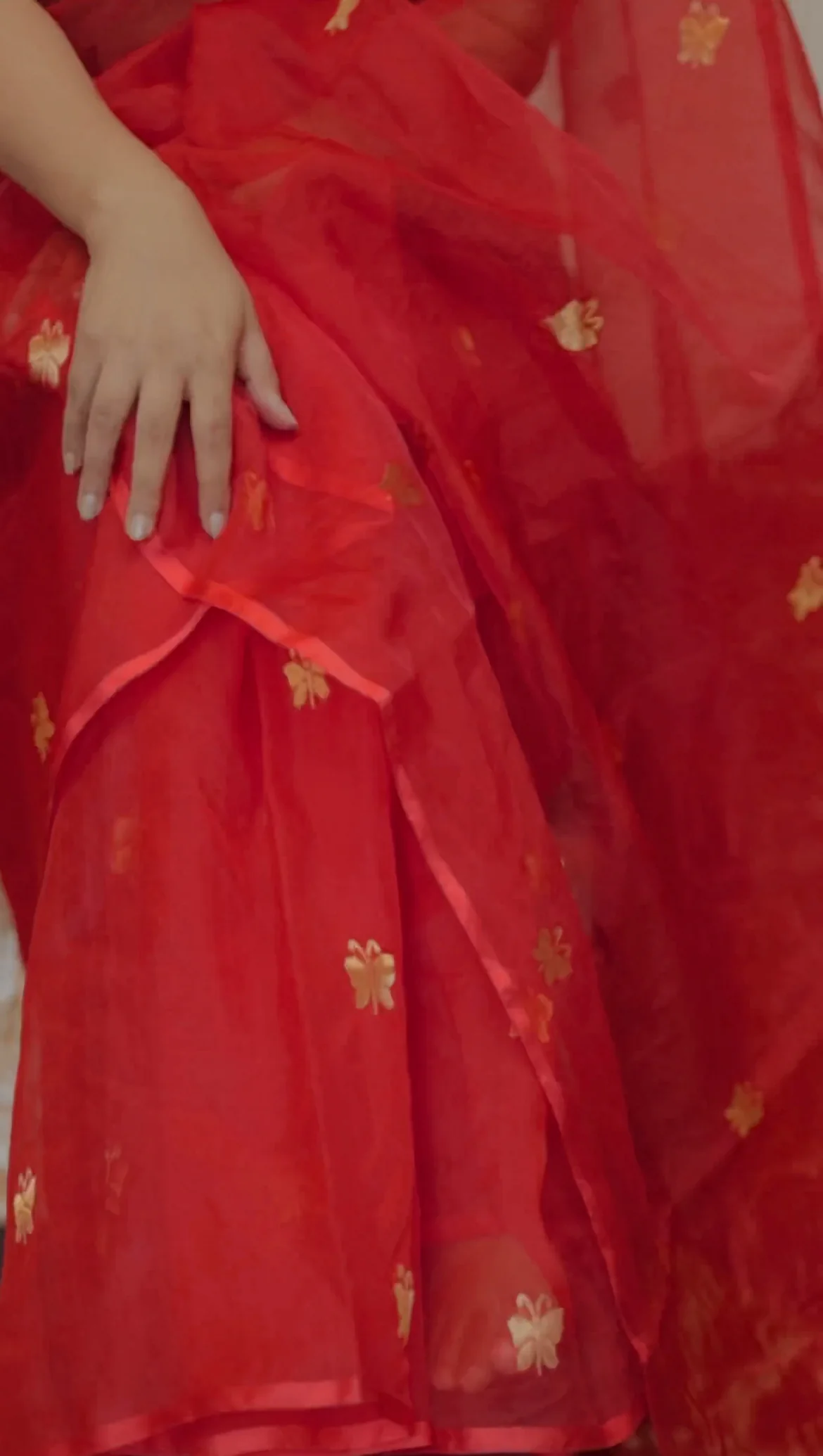 Red chanderi organza silk saree with butterfly motifs all over - Image 10