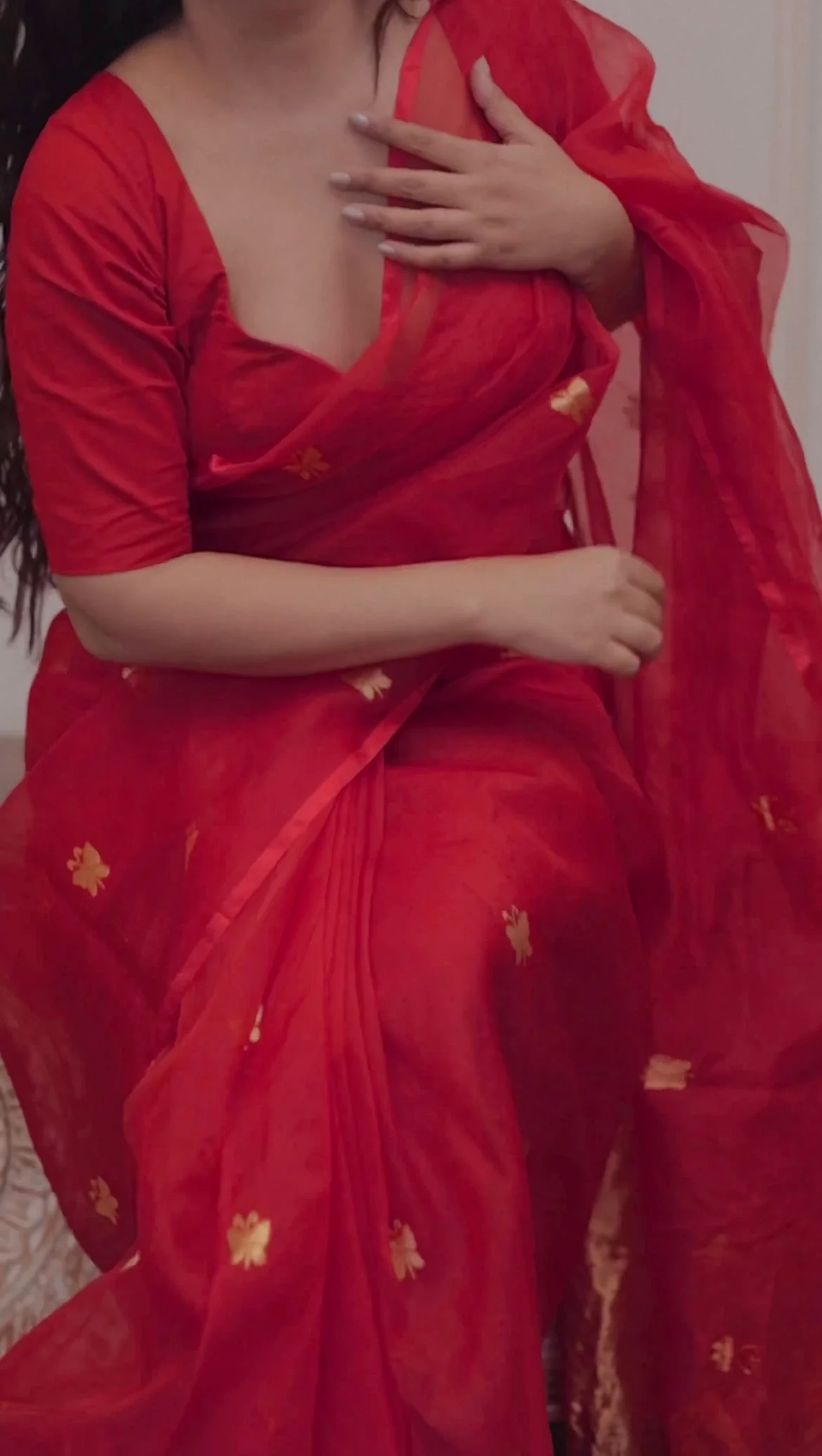 Red chanderi organza silk saree with butterfly motifs all over - Image 17