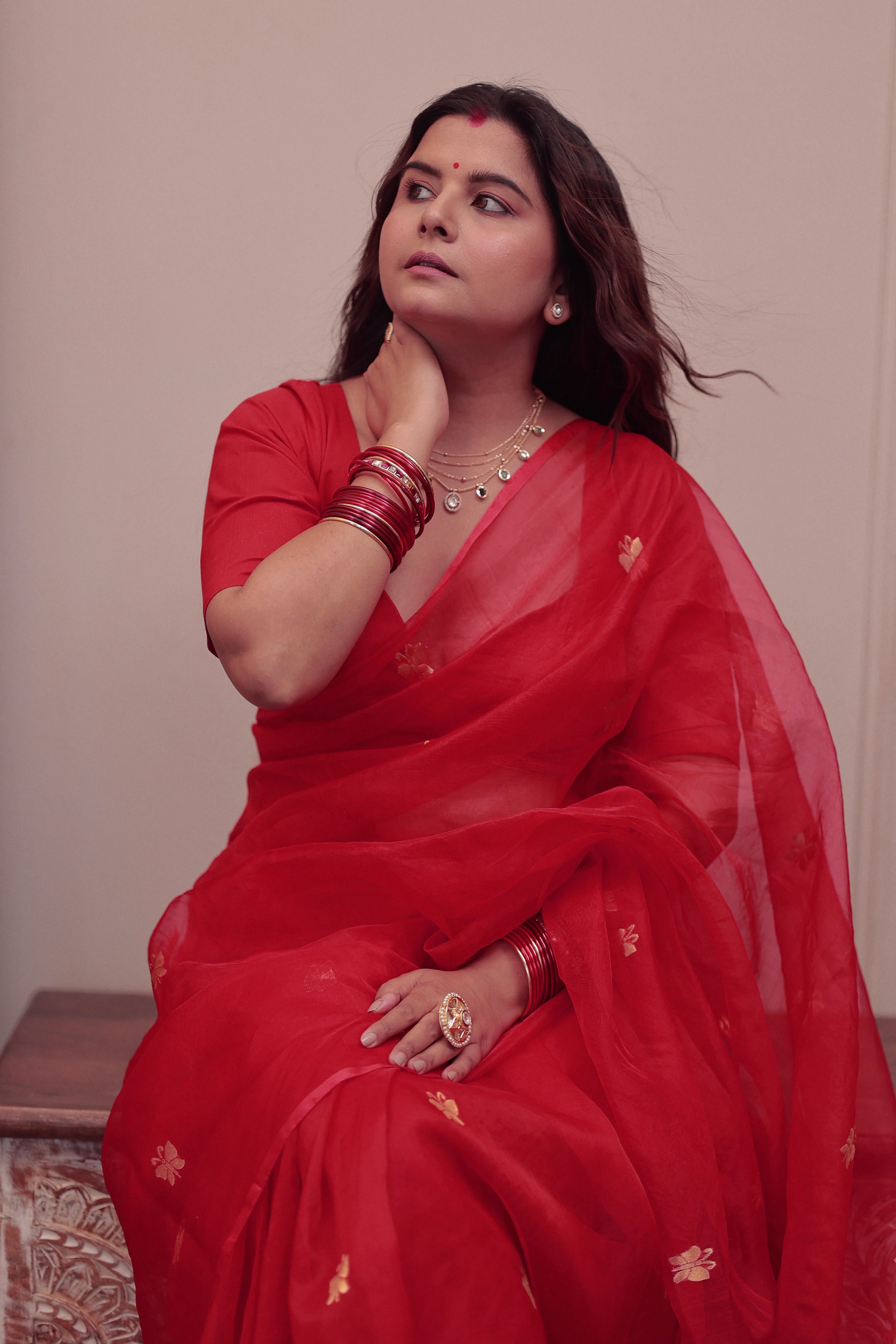 Red chanderi organza silk saree with butterfly motifs all over - Image 4